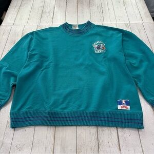 Vintage Nutmeg Charlotte Hornets Sweater Made in USA Sz XL